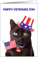 Happy Veterans Day Cute Patriotic Cat card