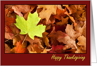Happy Thanksgiving For Anyone Fall Leaves card