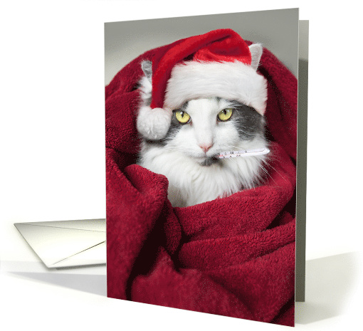 Get Well Soon and Merry Christmas Funny Cat Humor card (1544400)