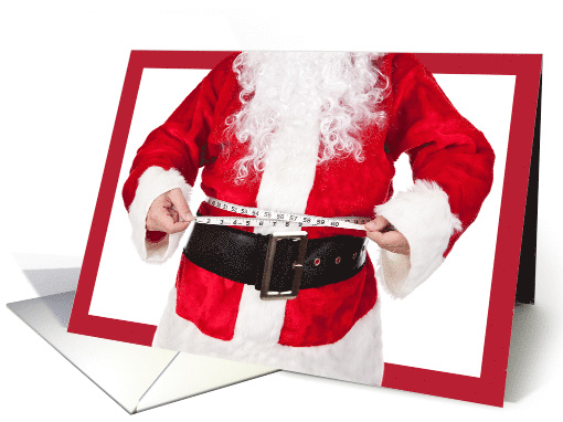 Merry Christmas Fat Santa Humor card (1544436)
