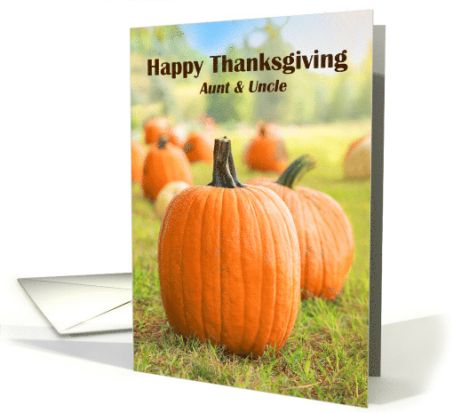 Happy Thanksgiving Aunt and Uncle Pumpkin Patch card (1544710)