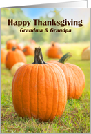 Happy Thanksgiving to Grandma & Grandpa Pumpkin Patch card