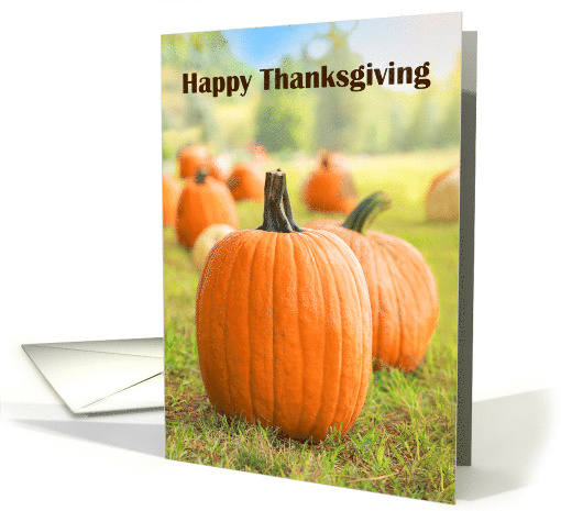 Happy Thanksgiving For Anyone Pumpkin Patch card (1544826)