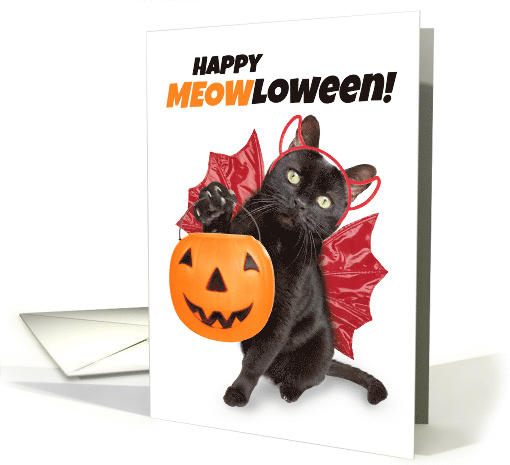 Happy Halloween For Anyone Funny Cat in Costume Humor card (1544942)