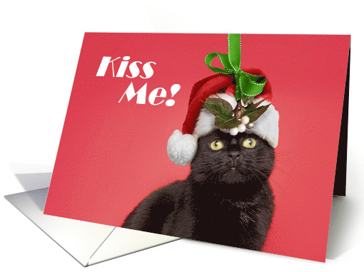 Merry Christmas From the Cat Under Mistletoe Humor card (1545268)