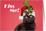 Merry Christmas From the Cat Under Mistletoe Humor card