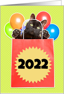 Happy New Year 2022 For Anyone Cat in a Bag with Balloons card