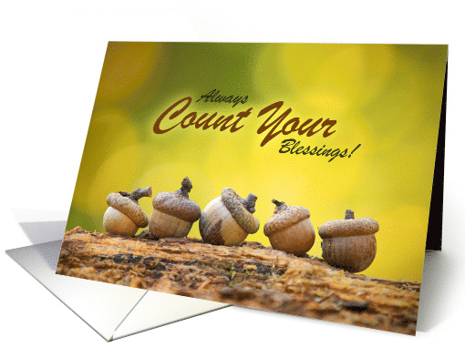 Happy Thanksgiving Always Count Your Blessings Acorns Photograph card