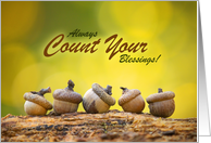 Happy Thanksgiving Always Count Your Blessings Acorns Photograph card