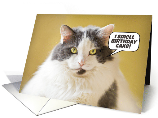 Happy Birthday I Smell Birthday Cake Fat Cat Humor card (1545468)