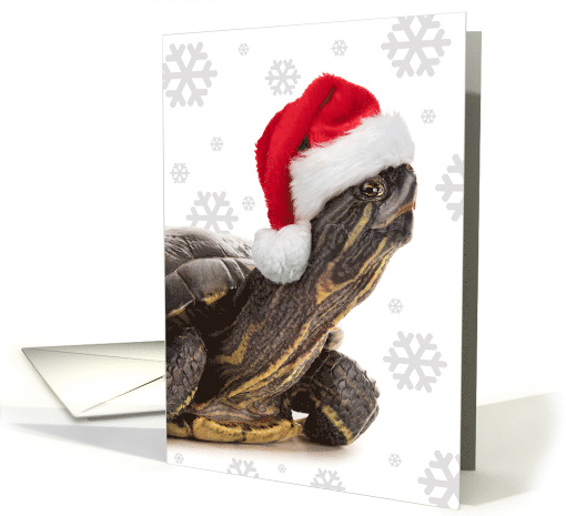 Merry Christmas For Anyone Turtle in Santa Hat with... (1545486)