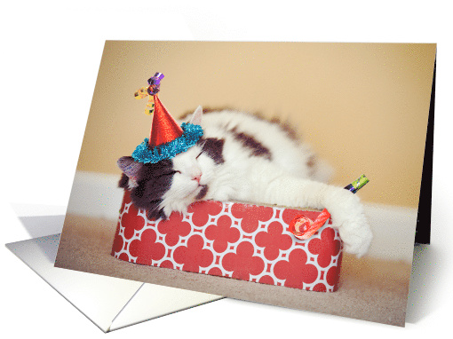 Have a Nappy (Happy) New Year Sleeping Cat Humor card (1545806)