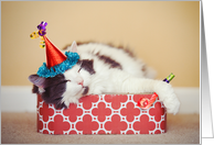 Have a Nappy (Happy) New Year Sleeping Cat Humor card