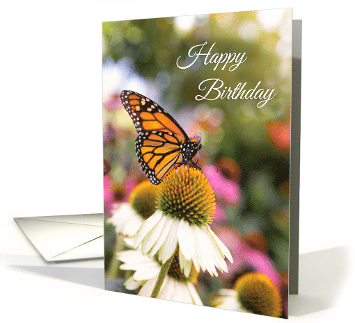 Happy Birthday For Anyone Beautiful Butterfly Photograph card