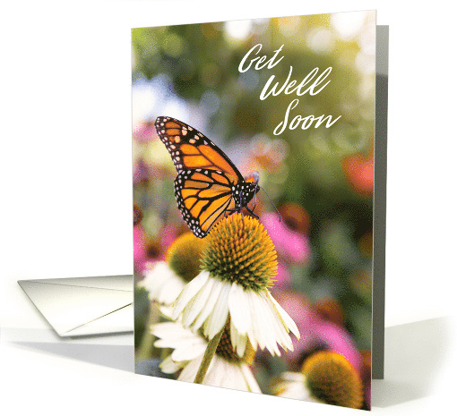 Get Well Soon For Anyone Beautiful Butterfly Photograph card (1545920)