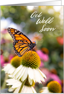 Get Well Soon For...