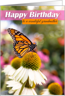 Happy Birthday Grandmother Beautiful Butterfly Photograph card