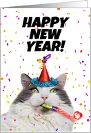 Happy New Year Funny Cat Celebrating Humor card