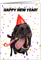 New Year&#039;s Cards With Dogs from Greeting Card Universe