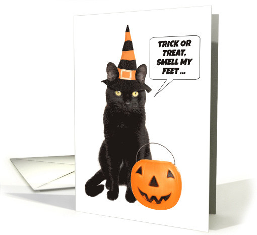 Happy Halloween From The Cat Humor card (1546228)