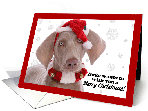 Merry Christmas Weimaraner Dog Duke Humor card (1546234)