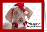 Merry Christmas Weimaraner Dog Duke Humor card