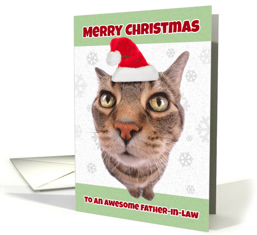 Merry Christmas Father-in-Law Cat in Santa Hat Humor card (1546610)