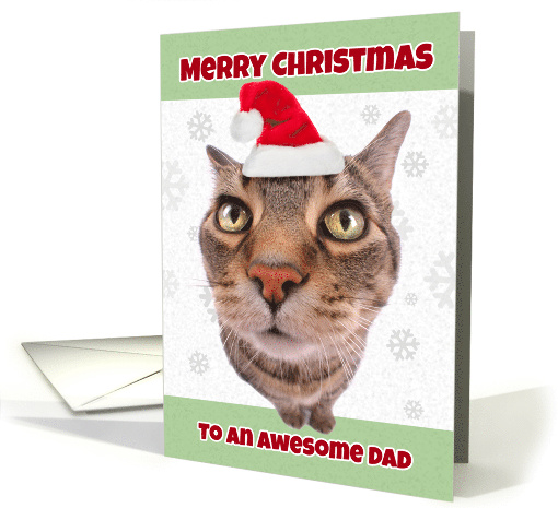 Merry Christmas Dad Cat in Santa Hat Humor card (1546614)