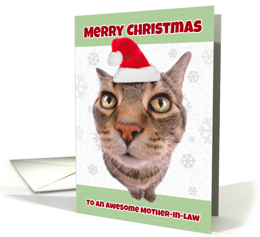 Merry Christmas Mother-in-Law Cat in Santa Hat Humor card (1546616)