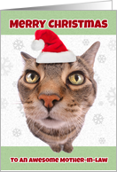 Merry Christmas Mother-in-Law Cat in Santa Hat Humor card