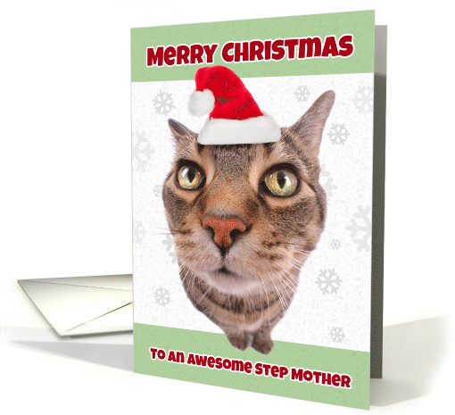 Merry Christmas Step Mother Cat in Santa Hat Humor card (1546618)