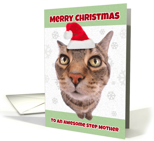 Merry Christmas Step Mother Cat in Santa Hat Humor card (1546618)