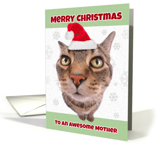 Merry Christmas Mother Cat in Santa Hat Humor card (1546620)