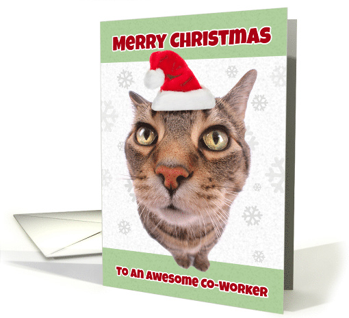 Merry Christmas Co-worker Cat in Santa Hat Humor card (1546634)