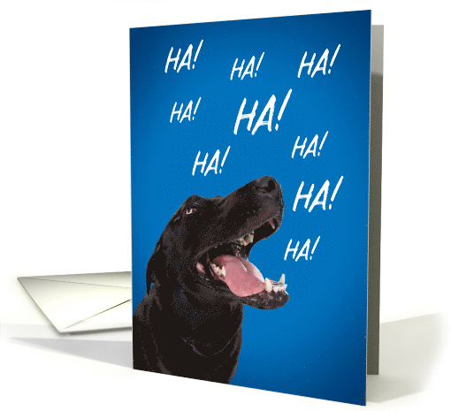 Happy Birthday For Anyone Laughing Dog Humor card (1546840)