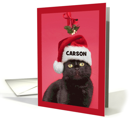 Merry Christmas Custom Name For Anyone Mistletoe Cat Humor card
