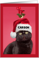 Merry Christmas Custom Name For Anyone Mistletoe Cat Humor card
