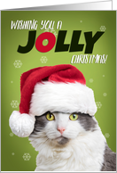 Merry Christmas Cat in Santa Hat For Anyone Humor card