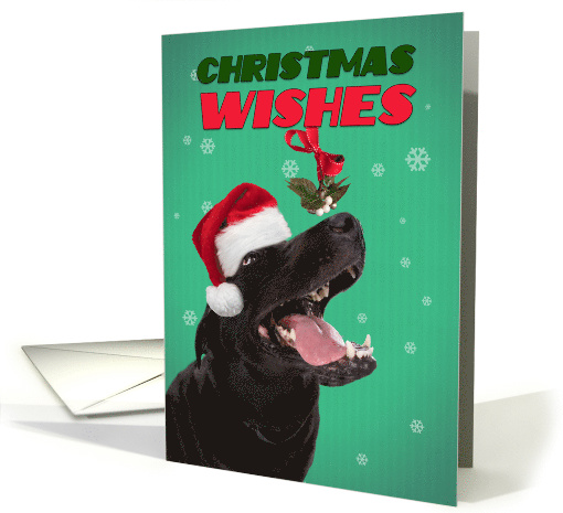 Merry Christmas For Anyone Dog Under Mistletoe Humor card (1547146)