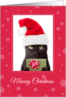 Meowy (Merry) Christmas Cute Cat in Santa Hat Humor card