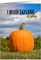 Happy Thanksgiving For Anyone Pumpkin card