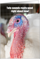 Happy Thanksgiving Tofu Sounds Good Turkey Humor card