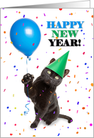Happy New Year For Anyone Cat Holding Balloon Humor card