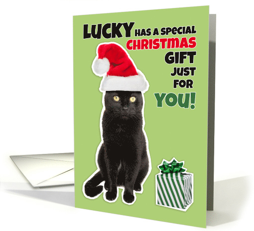 Merry Christmas Gross Cat Humor For Anyone card (1548348)