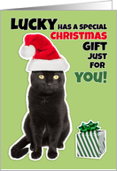 Merry Christmas Gross Cat Humor For Anyone card