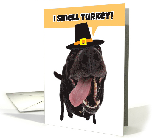 Happy Thaksgiving For Anyone Silly Dog Smelling Turkey Humor card