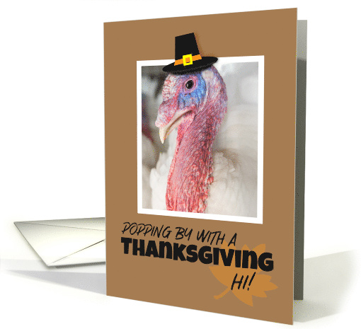 Happy Thanksgiving For Anyone Turkey in Pilgrim Hat Humor card