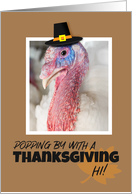 Happy Thanksgiving...