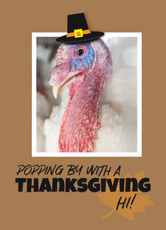 Happy Thanksgiving...
