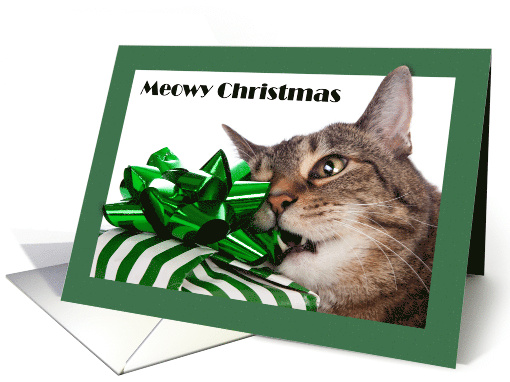 Meowy (Merry) Christmas Cute Cat With Present For Anyone Humor card